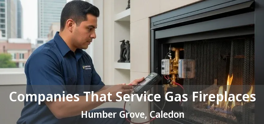 Companies That Service Gas Fireplaces Humber Grove, Caledon - ON Companies That Service Gas Fireplaces Humber Grove, Caledon - ON