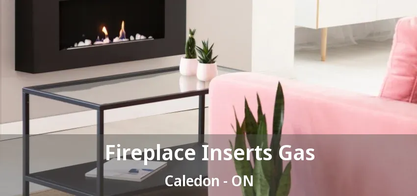 Fireplace Inserts Gas Caledon - ON