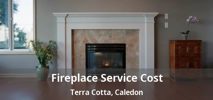 Fireplace Service Cost Terra Cotta, Caledon - ON