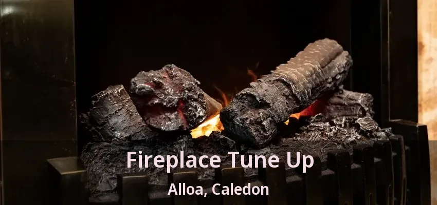 Fireplace Tune Up Alloa, Caledon - ON Fireplace Tune Up Alloa, Caledon - ON