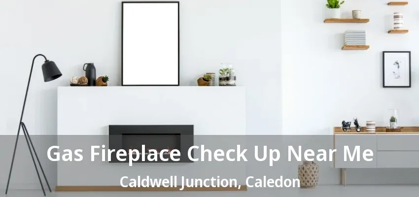Gas Fireplace Check Up Near Me Caldwell Junction, Caledon - ON