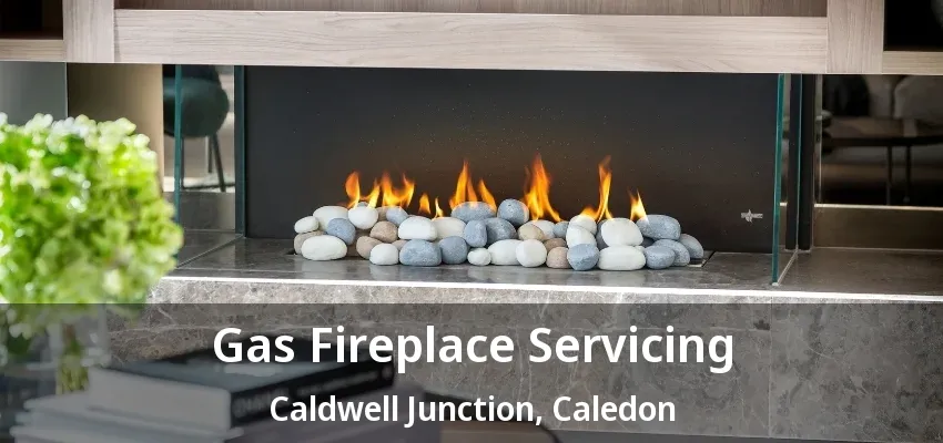 Gas Fireplace Servicing Caldwell Junction, Caledon - ON