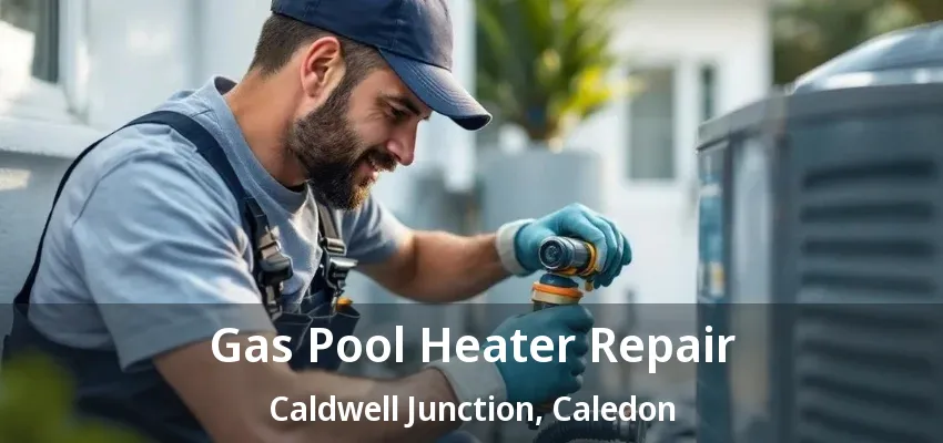 Gas Pool Heater Repair Caldwell Junction, Caledon - ON Gas Pool Heater Repair Caldwell Junction, Caledon - ON