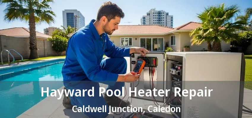 Hayward Pool Heater Repair Caldwell Junction, Caledon - ON Hayward Pool Heater Repair Caldwell Junction, Caledon - ON