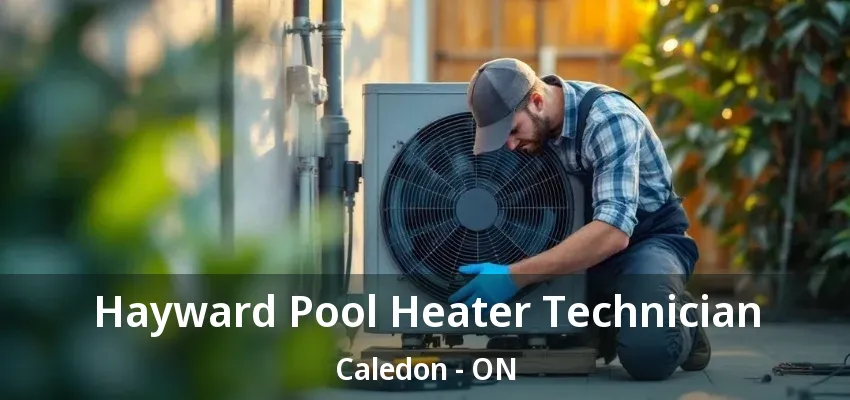 Hayward Pool Heater Technician Caledon - ON