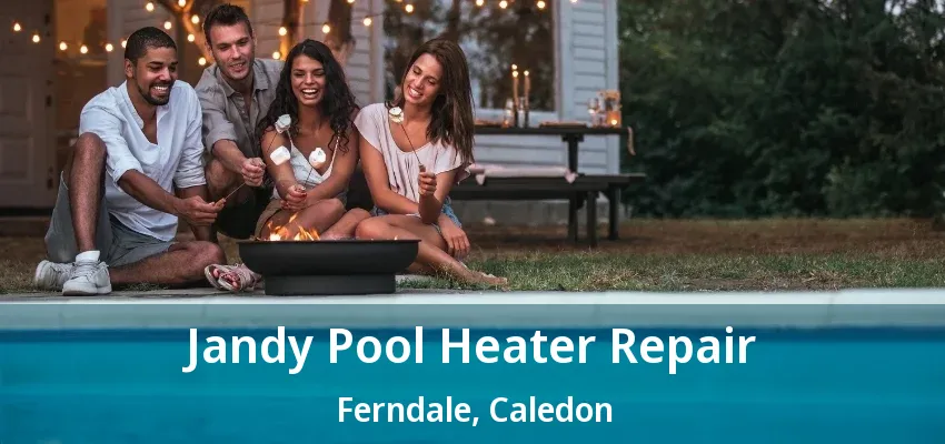 Jandy Pool Heater Repair Ferndale, Caledon - ON Jandy Pool Heater Repair Ferndale, Caledon - ON
