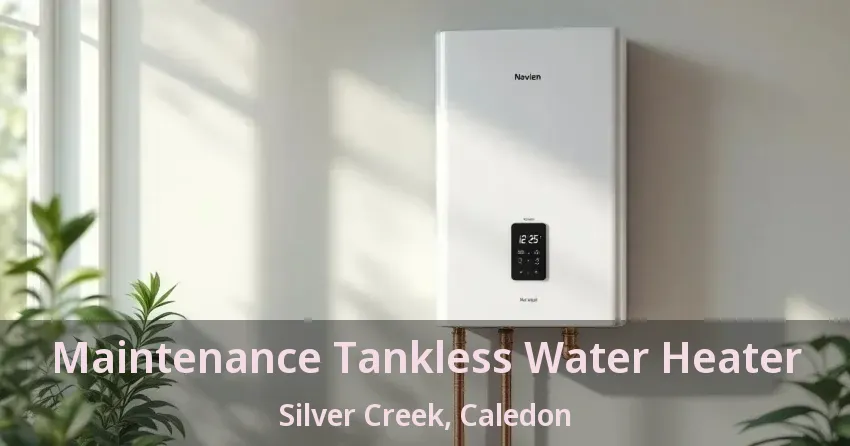 Maintenance Tankless Water Heater Silver Creek, Caledon - ON Maintenance Tankless Water Heater Silver Creek, Caledon - ON
