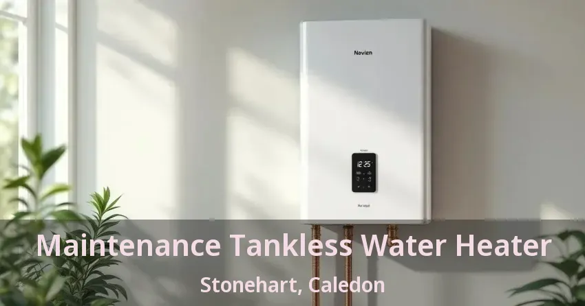 Maintenance Tankless Water Heater Stonehart, Caledon - ON Maintenance Tankless Water Heater Stonehart, Caledon - ON