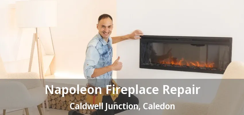 Napoleon Fireplace Repair Caldwell Junction, Caledon - ON Napoleon Fireplace Repair Caldwell Junction, Caledon - ON