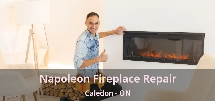 Napoleon Fireplace Repair Caledon - ON Napoleon Fireplace Repair Caledon - ON
