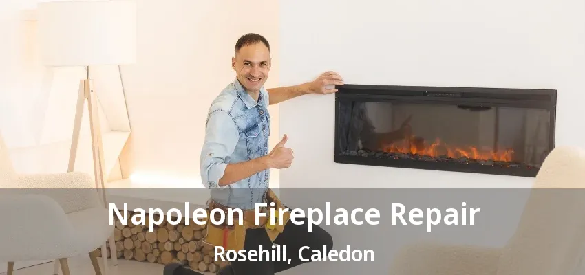 Napoleon Fireplace Repair Rosehill, Caledon - ON Napoleon Fireplace Repair Rosehill, Caledon - ON