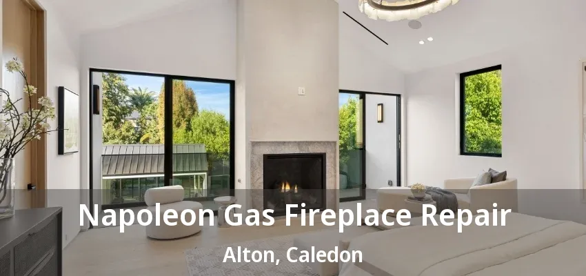 Napoleon Gas Fireplace Repair Alton, Caledon - ON Napoleon Gas Fireplace Repair Alton, Caledon - ON