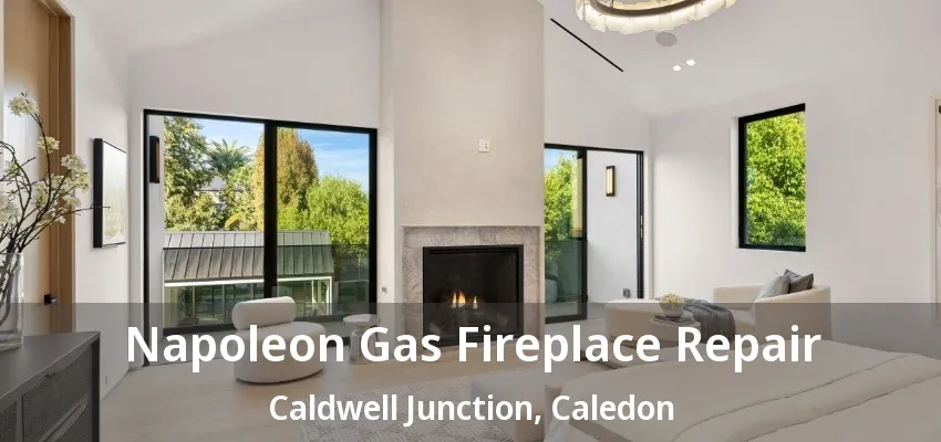 Napoleon Gas Fireplace Repair Caldwell Junction, Caledon - ON Napoleon Gas Fireplace Repair Caldwell Junction, Caledon - ON