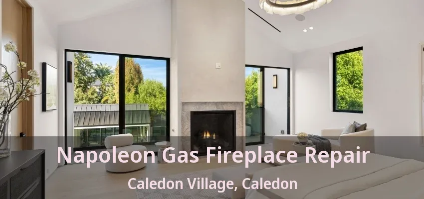 Napoleon Gas Fireplace Repair Caledon Village, Caledon - ON Napoleon Gas Fireplace Repair Caledon Village, Caledon - ON