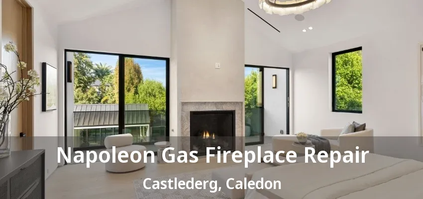 Napoleon Gas Fireplace Repair Castlederg, Caledon - ON Napoleon Gas Fireplace Repair Castlederg, Caledon - ON