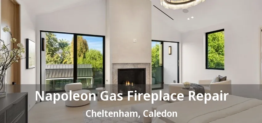 Napoleon Gas Fireplace Repair Cheltenham, Caledon - ON Napoleon Gas Fireplace Repair Cheltenham, Caledon - ON