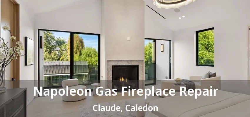 Napoleon Gas Fireplace Repair Claude, Caledon - ON
