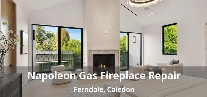 Napoleon Gas Fireplace Repair Ferndale, Caledon - ON Napoleon Gas Fireplace Repair Ferndale, Caledon - ON