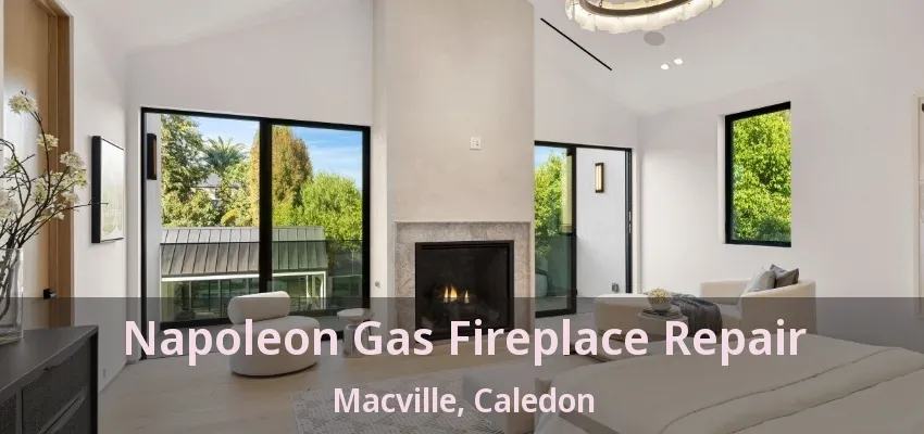 Napoleon Gas Fireplace Repair Macville, Caledon - ON Napoleon Gas Fireplace Repair Macville, Caledon - ON