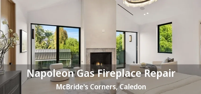 Napoleon Gas Fireplace Repair McBride's Corners, Caledon - ON Napoleon Gas Fireplace Repair McBride's Corners, Caledon - ON