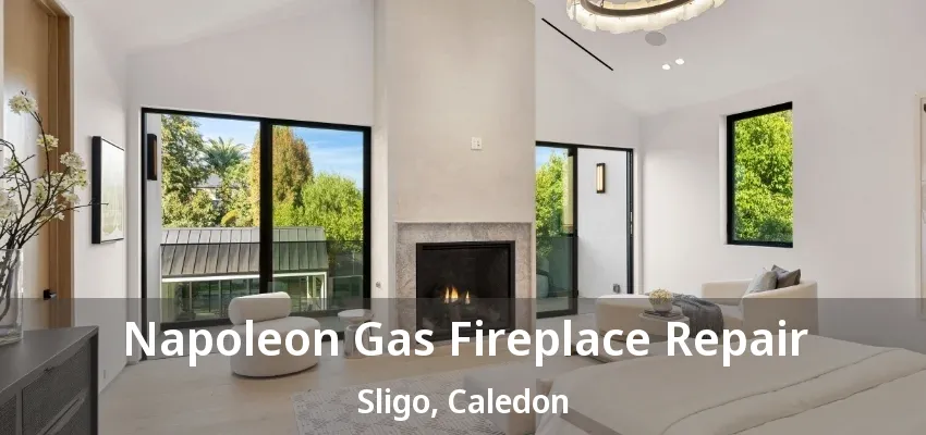 Napoleon Gas Fireplace Repair Sligo, Caledon - ON