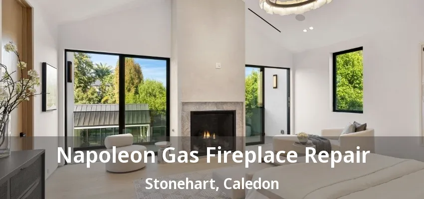 Napoleon Gas Fireplace Repair Stonehart, Caledon - ON Napoleon Gas Fireplace Repair Stonehart, Caledon - ON
