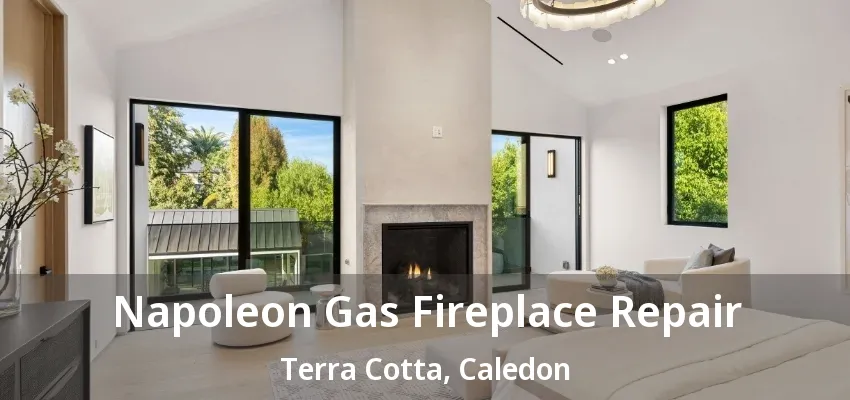 Napoleon Gas Fireplace Repair Terra Cotta, Caledon - ON