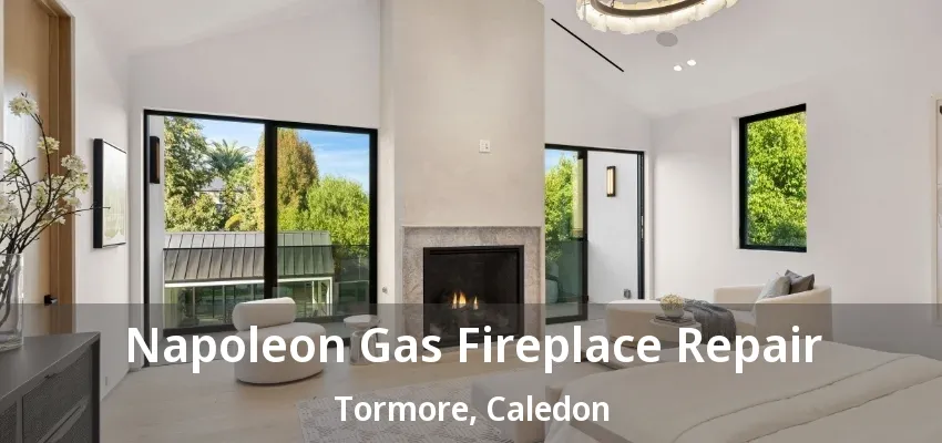 Napoleon Gas Fireplace Repair Tormore, Caledon - ON Napoleon Gas Fireplace Repair Tormore, Caledon - ON