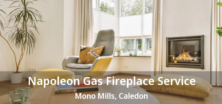 Napoleon Gas Fireplace Service Mono Mills, Caledon - ON Napoleon Gas Fireplace Service Mono Mills, Caledon - ON