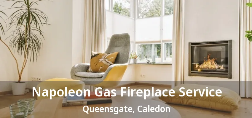 Napoleon Gas Fireplace Service Queensgate, Caledon - ON Napoleon Gas Fireplace Service Queensgate, Caledon - ON
