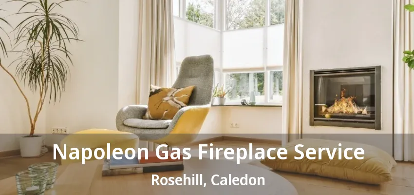 Napoleon Gas Fireplace Service Rosehill, Caledon - ON