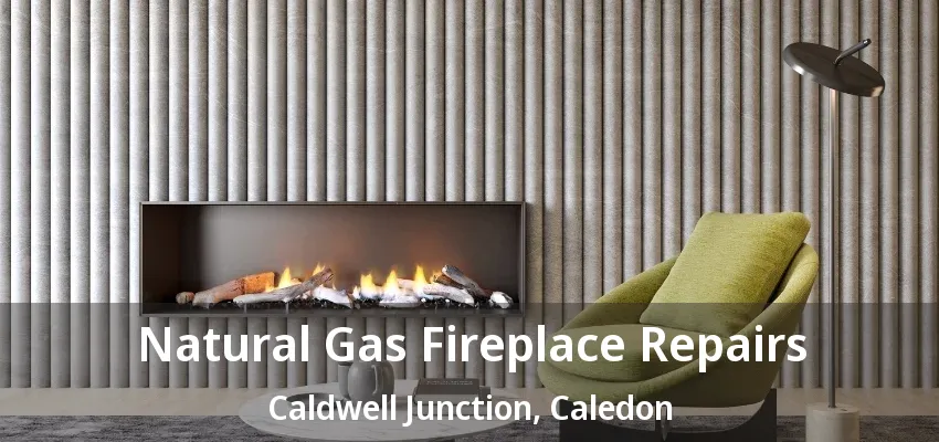 Natural Gas Fireplace Repairs Caldwell Junction, Caledon - ON Natural Gas Fireplace Repairs Caldwell Junction, Caledon - ON