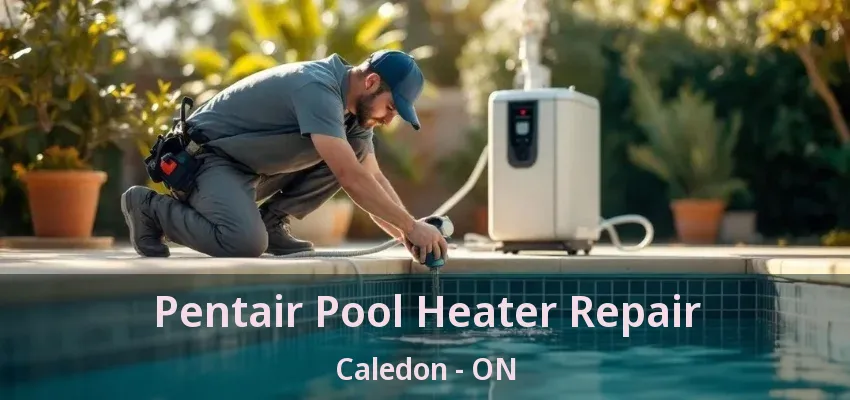 Pentair Pool Heater Repair Caledon - ON Pentair Pool Heater Repair Caledon - ON