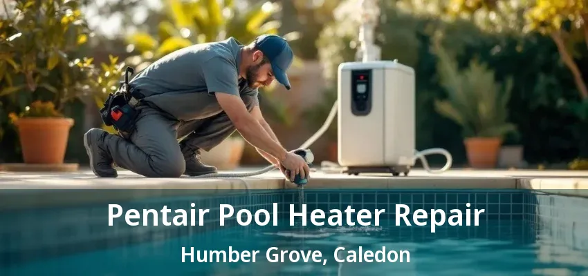 Pentair Pool Heater Repair Humber Grove, Caledon - ON