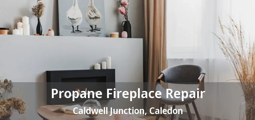 Propane Fireplace Repair Caldwell Junction, Caledon - ON Propane Fireplace Repair Caldwell Junction, Caledon - ON
