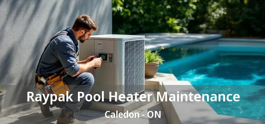 Raypak Pool Heater Maintenance Caledon - ON Raypak Pool Heater Maintenance Caledon - ON
