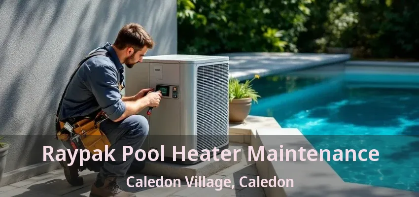 Raypak Pool Heater Maintenance Caledon Village, Caledon - ON Raypak Pool Heater Maintenance Caledon Village, Caledon - ON