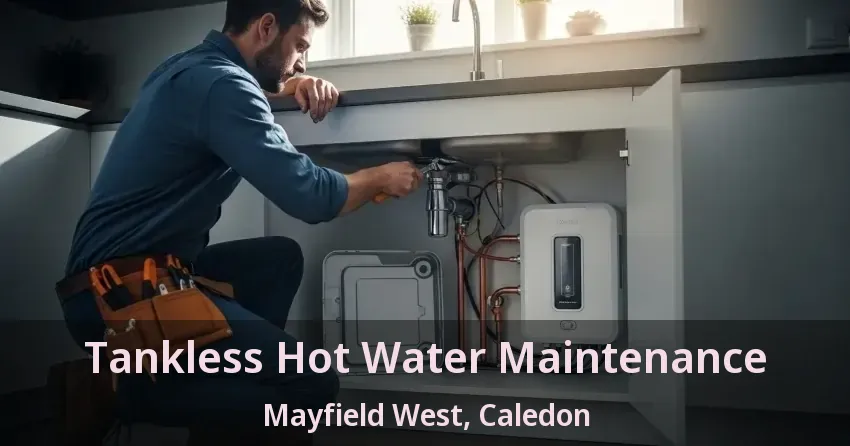 Tankless Hot Water Maintenance Mayfield West, Caledon - ON Tankless Hot Water Maintenance Mayfield West, Caledon - ON