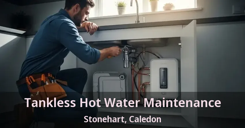 Tankless Hot Water Maintenance Stonehart, Caledon - ON Tankless Hot Water Maintenance Stonehart, Caledon - ON