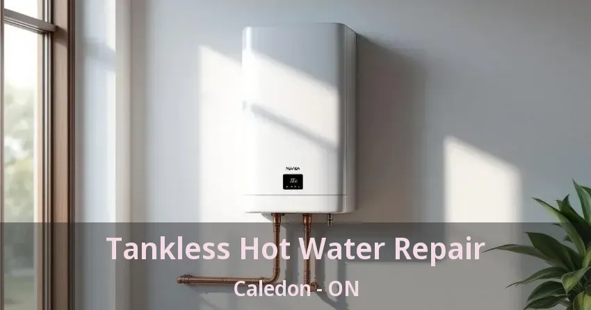 Tankless Hot Water Repair Caledon - ON Tankless Hot Water Repair Caledon - ON