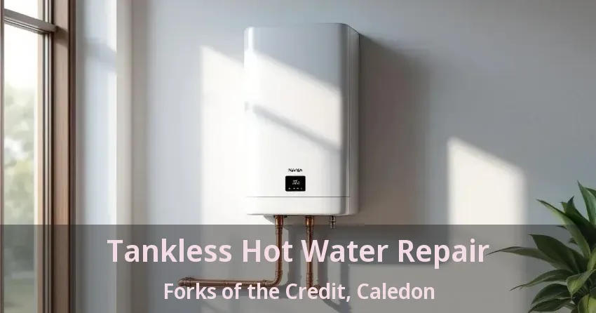 Tankless Hot Water Repair Forks of the Credit, Caledon - ON Tankless Hot Water Repair Forks of the Credit, Caledon - ON