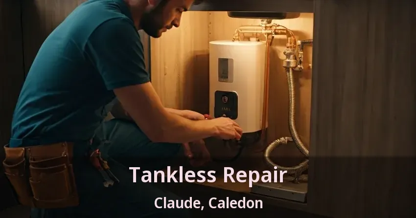 Tankless Repair Claude, Caledon - ON Tankless Repair Claude, Caledon - ON