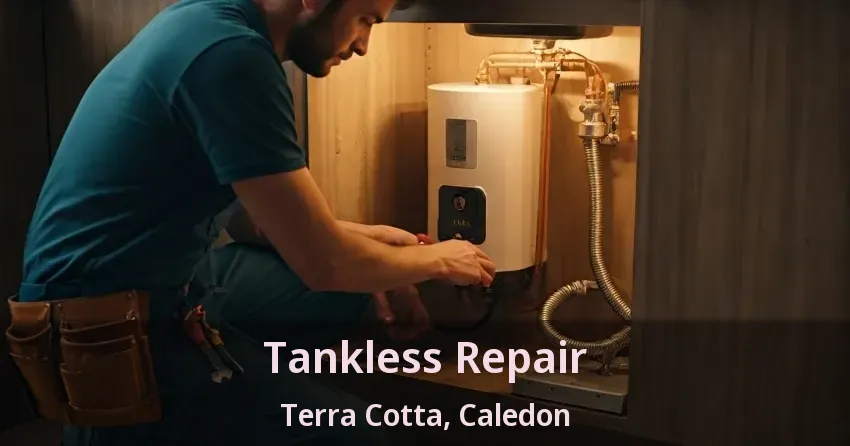 Tankless Repair Terra Cotta, Caledon - ON Tankless Repair Terra Cotta, Caledon - ON
