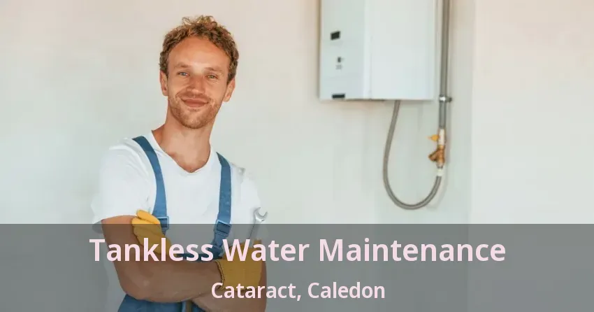 Tankless Water Maintenance Cataract, Caledon - ON Tankless Water Maintenance Cataract, Caledon - ON
