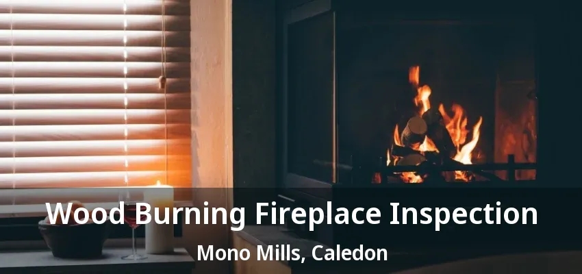 Wood Burning Fireplace Inspection Mono Mills, Caledon - ON Wood Burning Fireplace Inspection Mono Mills, Caledon - ON